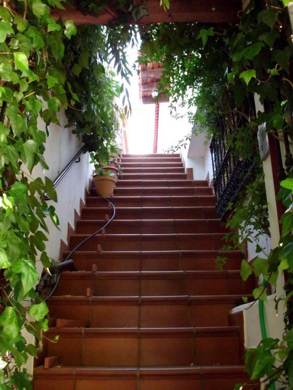 Pension Barrio Fuenteheridos Δωμάτιο φωτογραφία